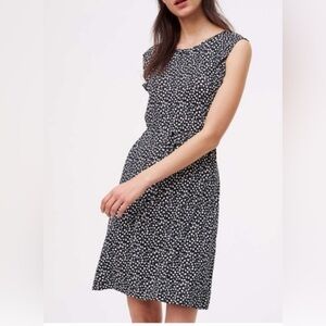 NWT Ann Taylor Loft blue white Swing sleeveless Dress Sz M